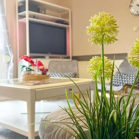 Bright Stylish Studio Near Center! Welcome #1 *